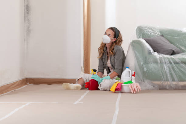 Reliable Basement Mold Removal contractor in Drewryville, VA by WQB Mold Removal